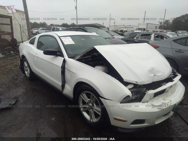 FORD MUSTANG 2012 1zvbp8amxc5277022