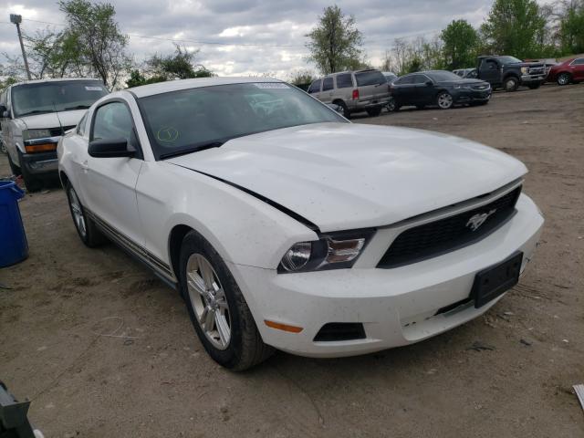 FORD MUSTANG 2012 1zvbp8amxc5277828