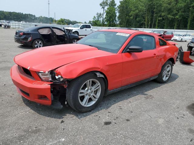 FORD MUSTANG 2012 1zvbp8amxc5280597