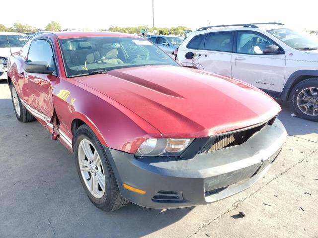 FORD MUSTANG 2012 1zvbp8amxc5281409