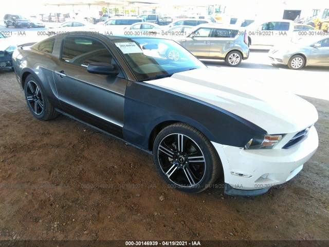 FORD MUSTANG 2012 1zvbp8amxc5281426