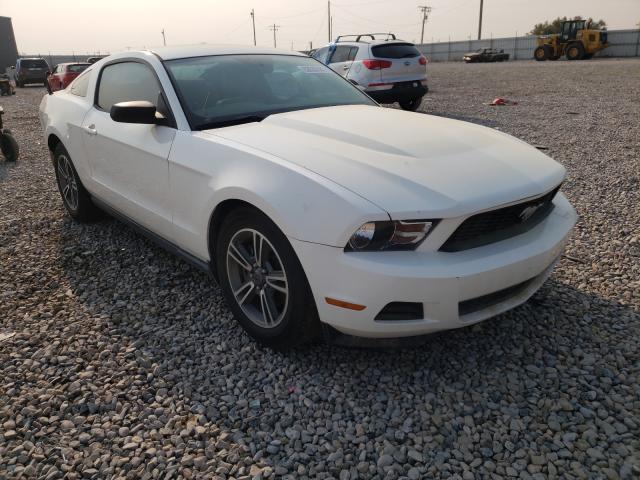 FORD MUSTANG 2012 1zvbp8amxc5282172