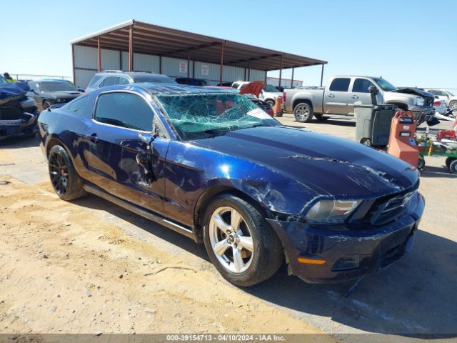 FORD MUSTANG 2012 1zvbp8amxc5282219