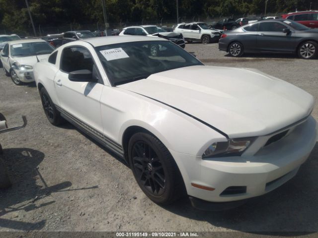 FORD MUSTANG 2012 1zvbp8amxc5287727