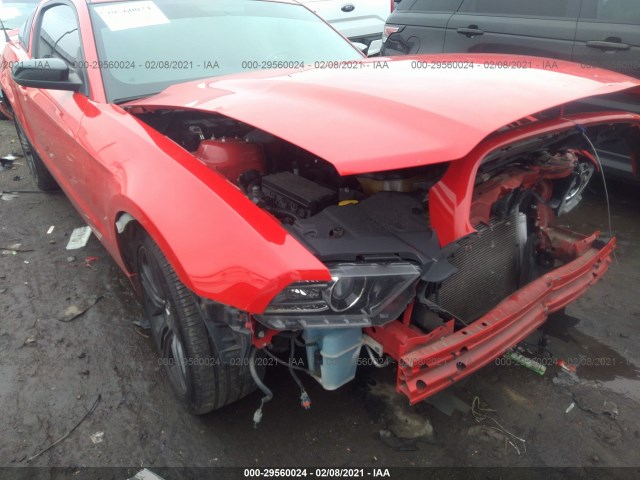 FORD MUSTANG 2013 1zvbp8amxd5200376