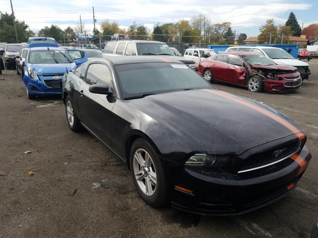 FORD MUSTANG 2013 1zvbp8amxd5203360