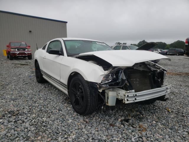 FORD MUSTANG 2013 1zvbp8amxd5203665