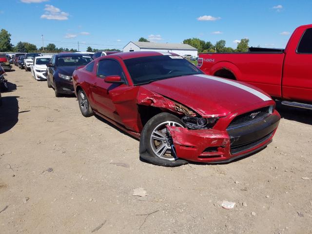 FORD MUSTANG 2013 1zvbp8amxd5204427