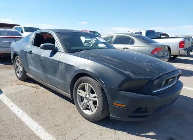 FORD MUSTANG 2013 1zvbp8amxd5205643