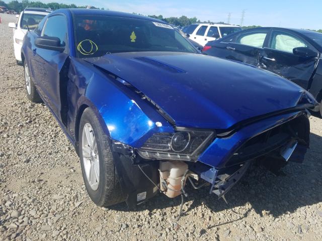 FORD MUSTANG 2013 1zvbp8amxd5209272