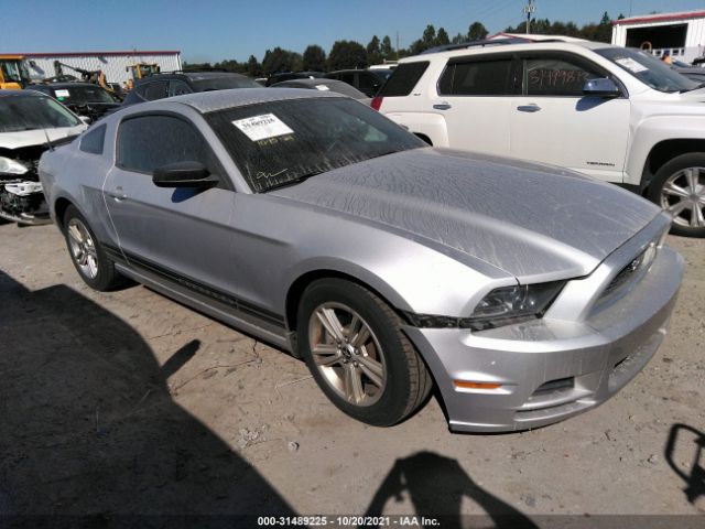 FORD MUSTANG 2013 1zvbp8amxd5209756