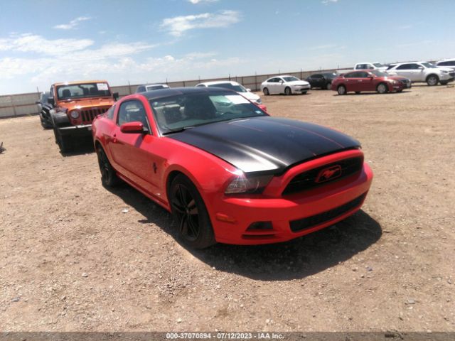 FORD MUSTANG 2013 1zvbp8amxd5212589