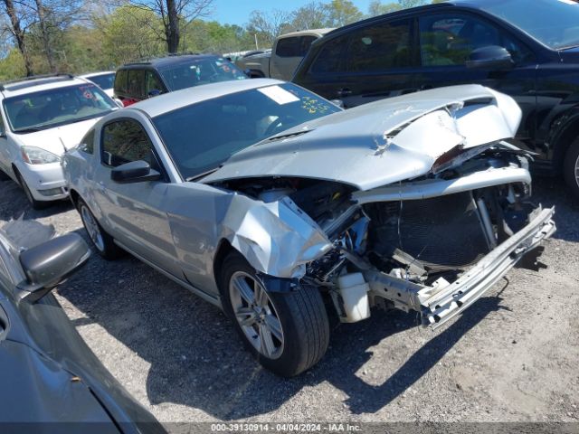 FORD MUSTANG 2013 1zvbp8amxd5215184