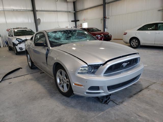 FORD MUSTANG 2013 1zvbp8amxd5221275