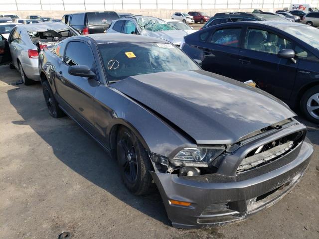 FORD MUSTANG 2013 1zvbp8amxd5221373