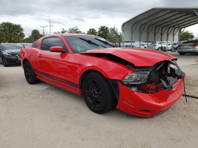 FORD MUSTANG 2013 1zvbp8amxd5224824