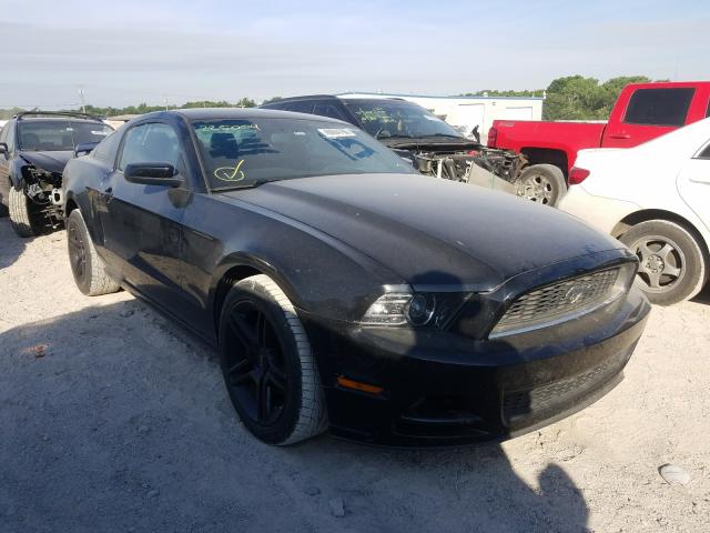 FORD MUSTANG 2013 1zvbp8amxd5225004