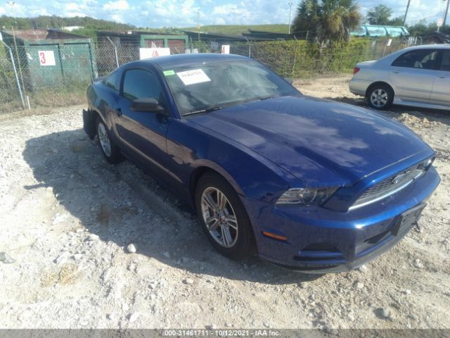 FORD MUSTANG 2013 1zvbp8amxd5228081