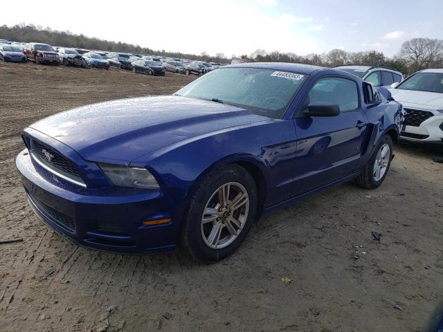 FORD MUSTANG 2013 1zvbp8amxd5228534