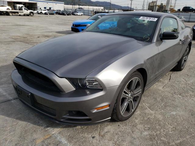 FORD MUSTANG 2013 1zvbp8amxd5231398