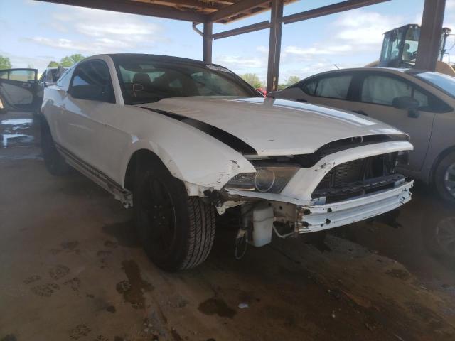 FORD MUSTANG 2013 1zvbp8amxd5232132