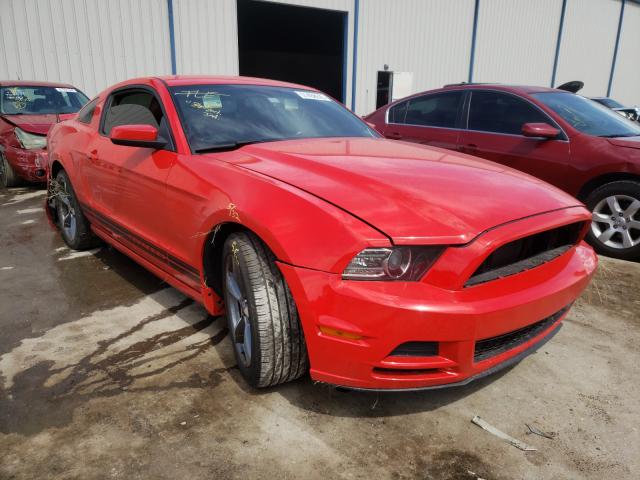 FORD MUSTANG 2013 1zvbp8amxd5235192