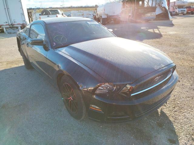 FORD MUSTANG 2013 1zvbp8amxd5236374