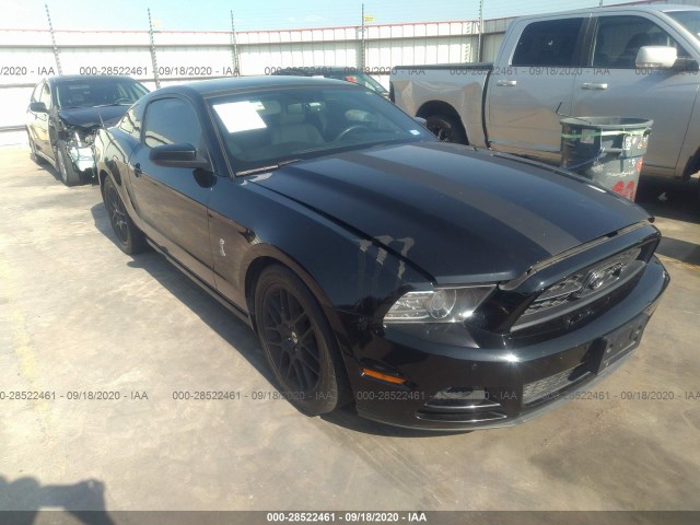 FORD MUSTANG 2013 1zvbp8amxd5237587