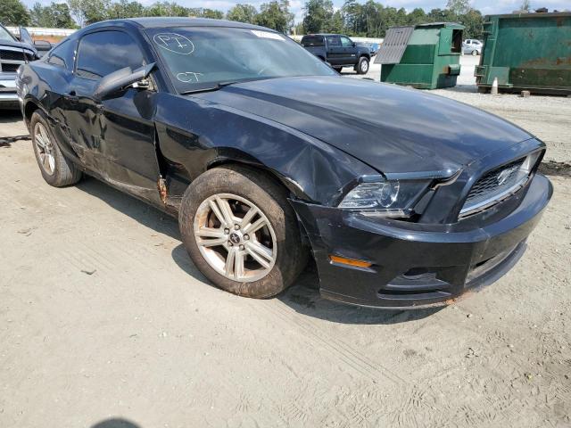 FORD MUSTANG 2013 1zvbp8amxd5238108