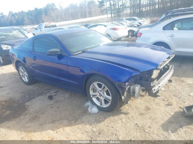 FORD MUSTANG 2013 1zvbp8amxd5241722