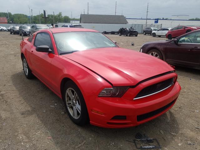 FORD MUSTANG 2013 1zvbp8amxd5241929