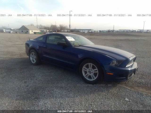 FORD MUSTANG 2013 1zvbp8amxd5241963