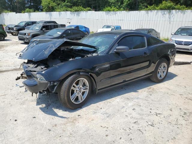 FORD MUSTANG 2013 1zvbp8amxd5242563