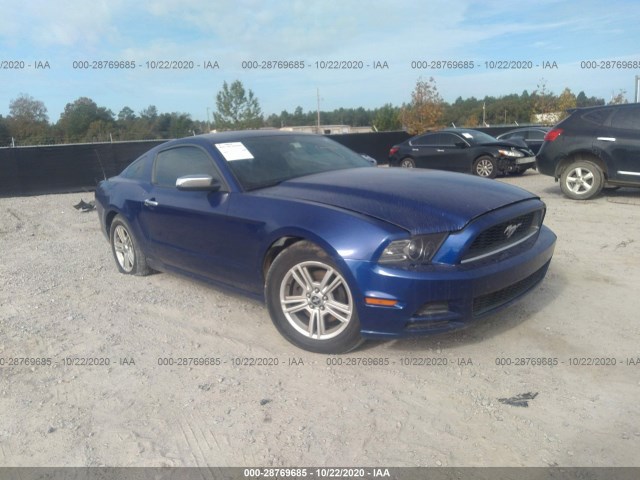 FORD MUSTANG 2013 1zvbp8amxd5243700