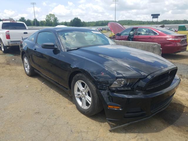 FORD MUSTANG 2013 1zvbp8amxd5244362