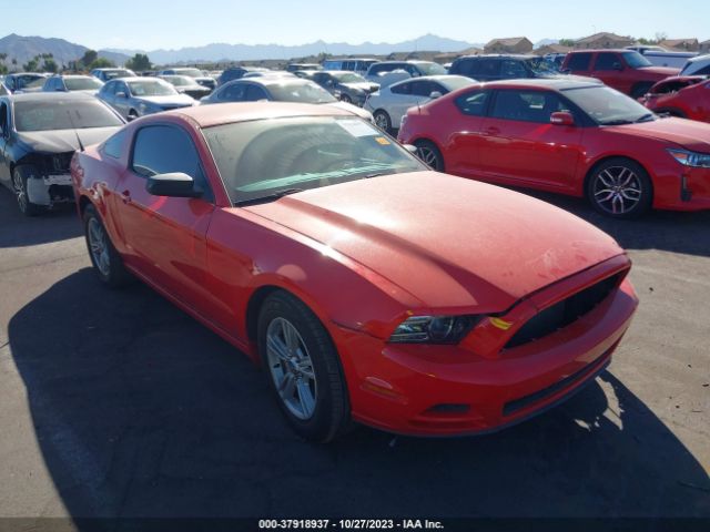 FORD MUSTANG 2013 1zvbp8amxd5244829