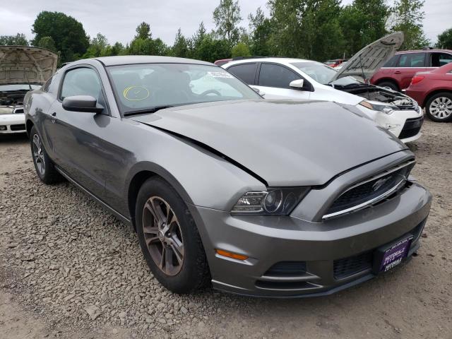 FORD MUSTANG 2013 1zvbp8amxd5245320