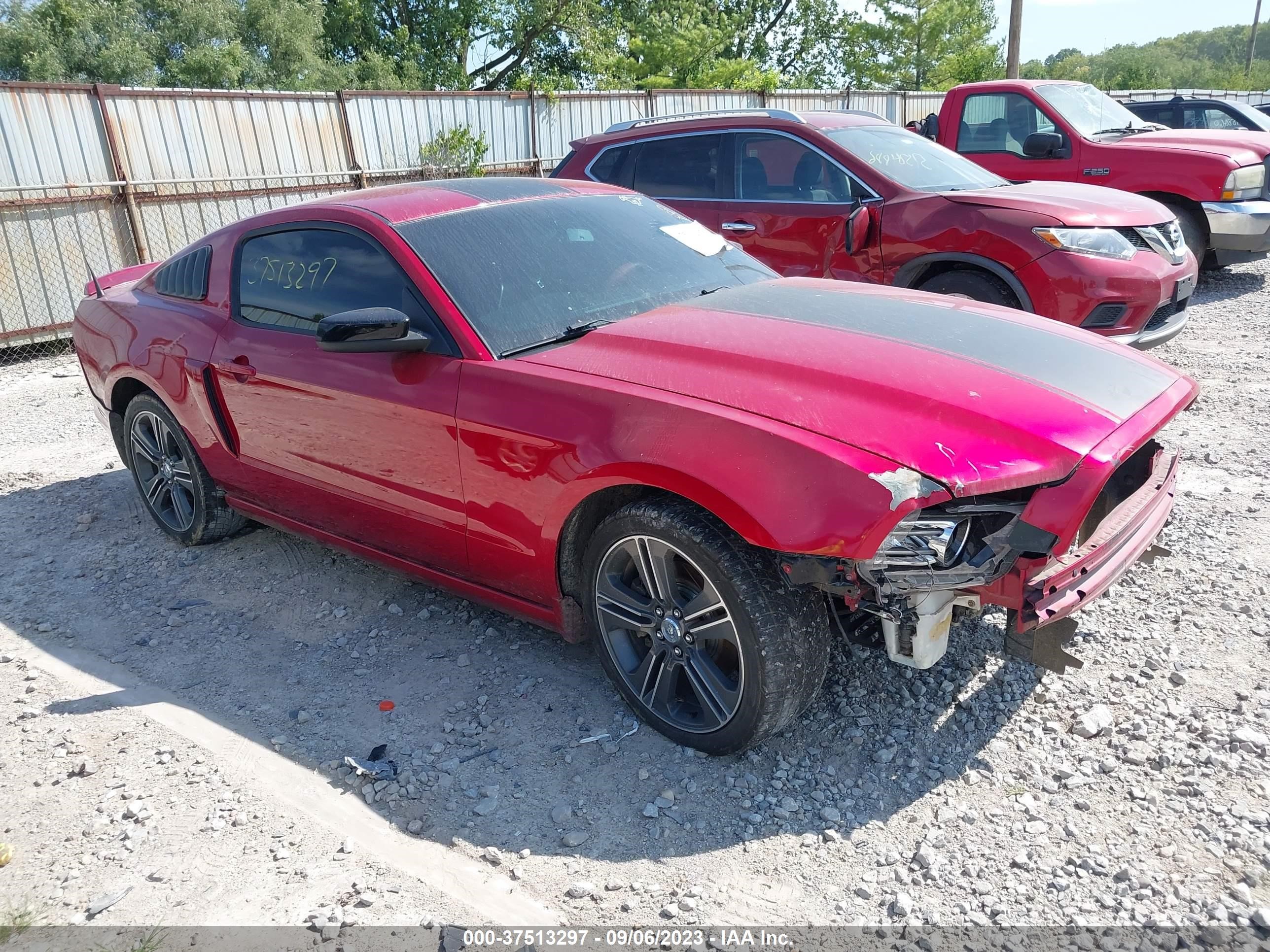 FORD MUSTANG 2013 1zvbp8amxd5246189