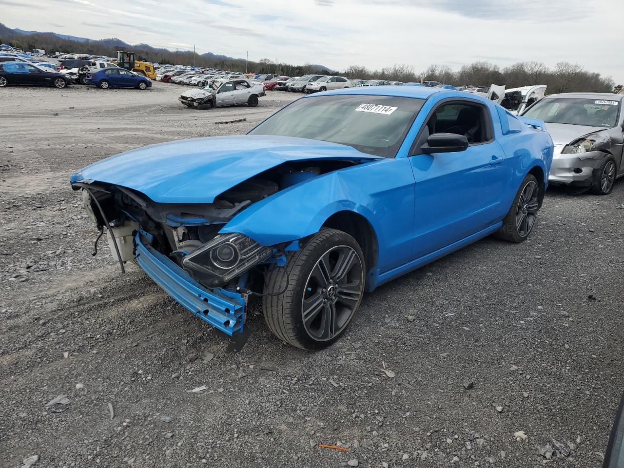 FORD MUSTANG 2013 1zvbp8amxd5246192