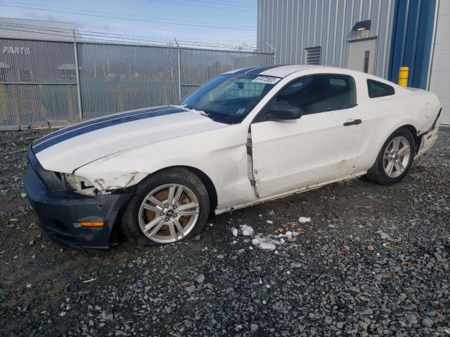 FORD MUSTANG 2013 1zvbp8amxd5248444