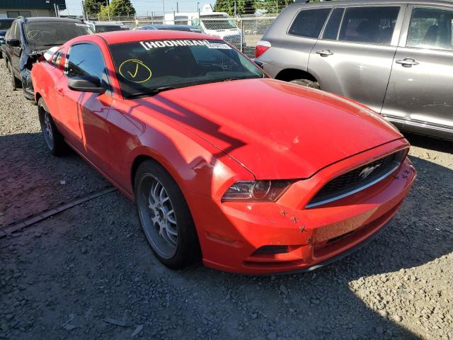 FORD MUSTANG 2013 1zvbp8amxd5249528