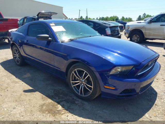 FORD MUSTANG 2013 1zvbp8amxd5249531