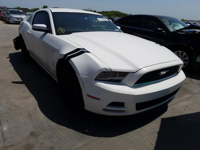 FORD MUSTANG 2013 1zvbp8amxd5250131