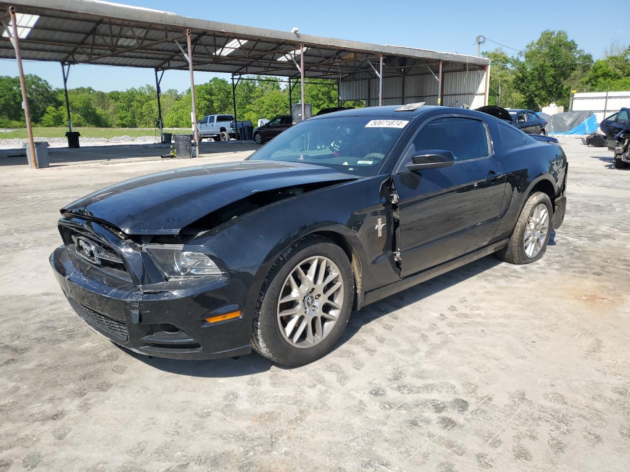 FORD MUSTANG 2013 1zvbp8amxd5252171