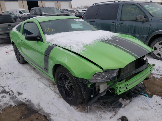 FORD MUSTANG 2013 1zvbp8amxd5252638