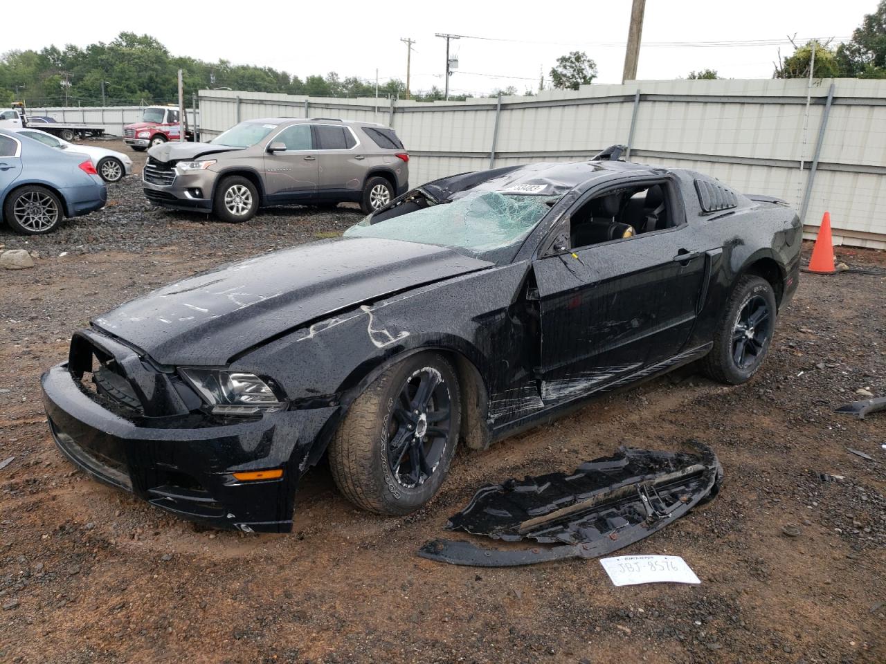 FORD MUSTANG 2013 1zvbp8amxd5253238