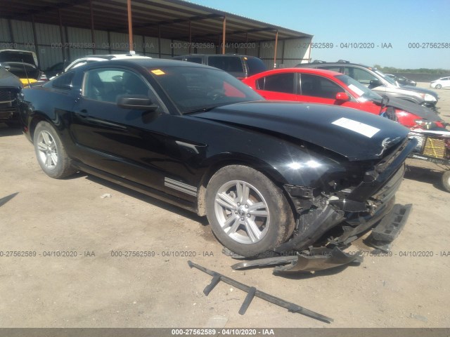 FORD MUSTANG 2013 1zvbp8amxd5253465