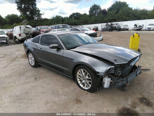 FORD MUSTANG 2013 1zvbp8amxd5254616