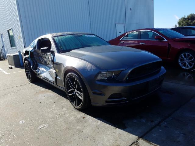 FORD MUSTANG 2013 1zvbp8amxd5255247