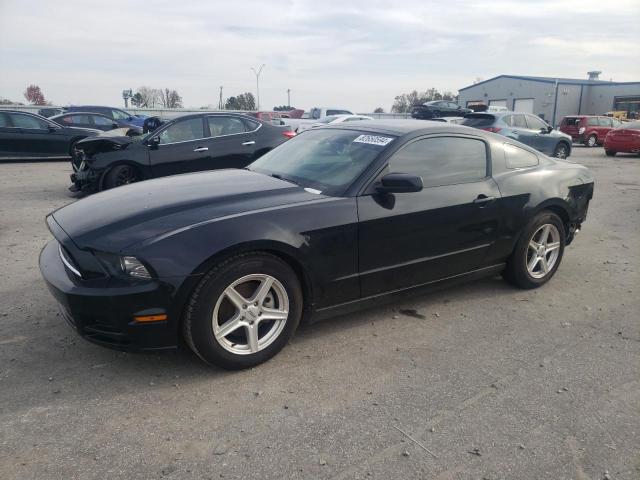 FORD MUSTANG 2013 1zvbp8amxd5255927